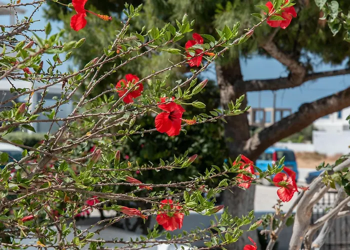 Gasthuis Maroulis Naxos 3*