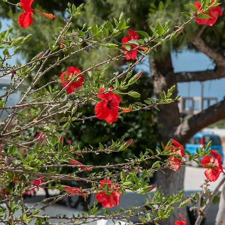 Penzion Maroulis Naxos 3*